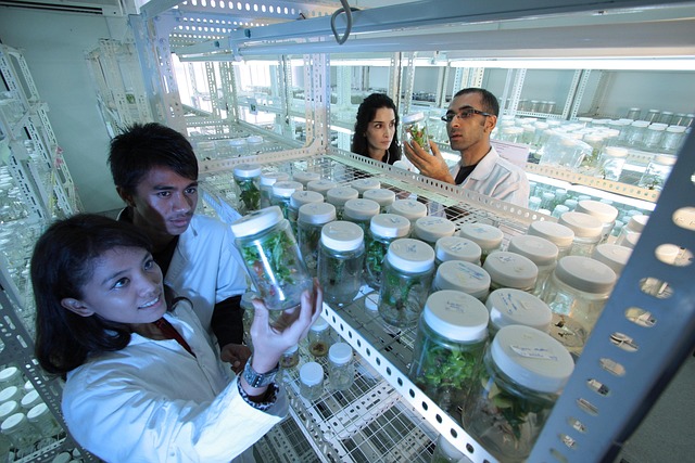 研究聚氨酯彈性體除水抑泡劑的分子結構，以精確控制其除水和抑泡效果。